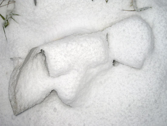 Einzelfund im Schnee, Farbfotografie Ria Siegert