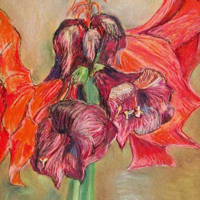 Blumen und Blüten, Amaryllis, Hyazinthen, Pastellmalerei auf Papier, 30 x 40 cm, Ria Siegert 