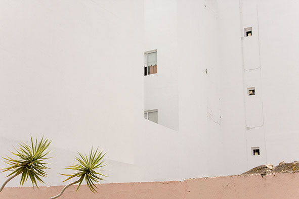 limitierte Fotoabzüge von weißem Häuserblock mit Palmen 30 x 40 cm oder 40 x 60 cm Ria Siegert