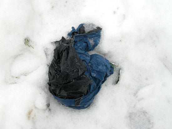 Fund im Schnee, Fotografie, Ria Siegert 