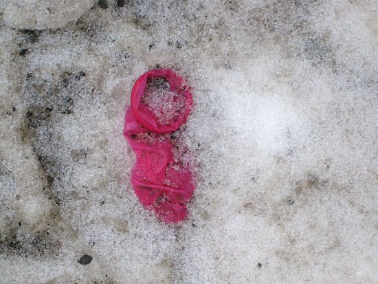 Fund im Schnee, Fotografie, Ria Siegert 